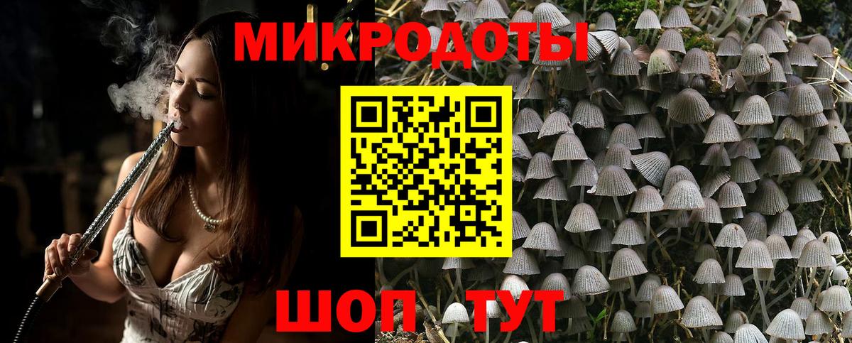 Галлюциногенные грибы ЛСД  Псилоцибиновые грибы Cubensis  закладка  Заволжье  Вход с VPN 
